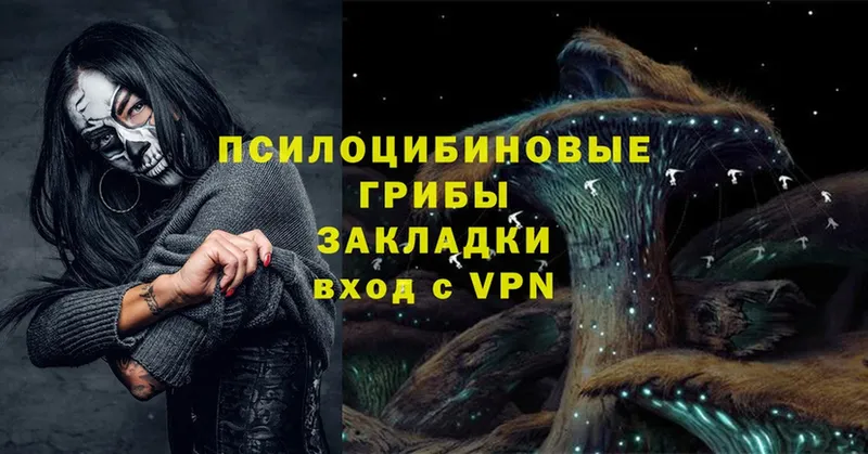 MEGA tor  Ставрополь  Галлюциногенные грибы Magic Shrooms  где купить наркоту 