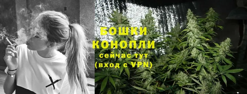 Конопля SATIVA & INDICA  блэк спрут рабочий сайт  Ставрополь 